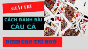 cách chơi bài câu cá
