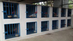 các trại gà đá