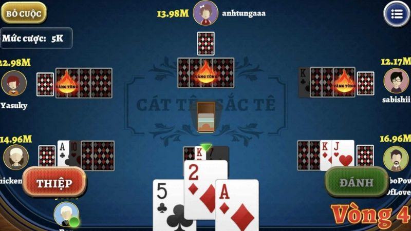 Cách chơi bài catte đơn giản nhất không phải ai cũng biết