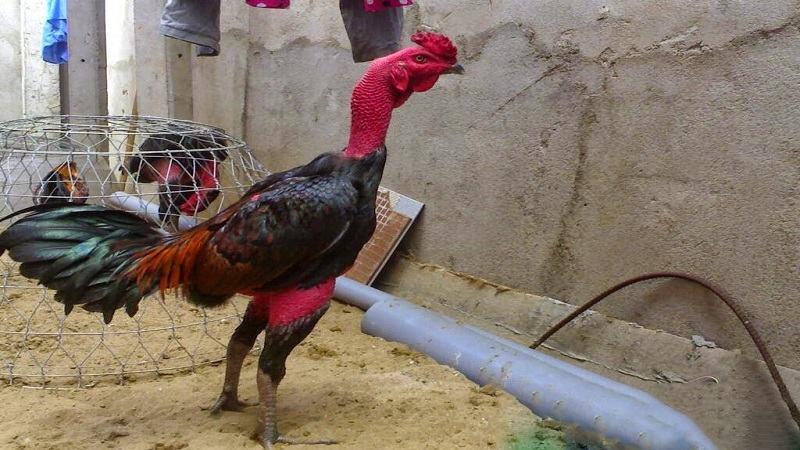 Không ngắt quãng khi dùng thuốc