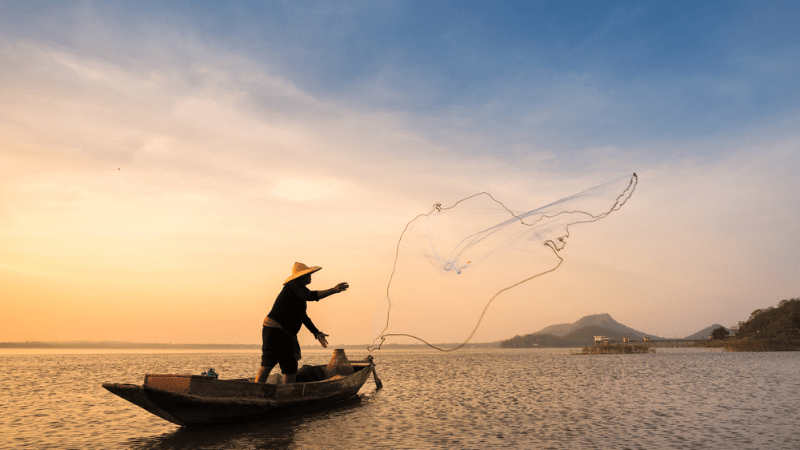 Mơ thấy bắt cá trong ao, hồ nhỏ là điềm gì, chọn số mấy?