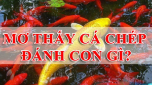 mơ thấy cá chép đánh con gì