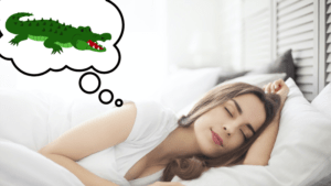 mơ thấy cá sấu đánh con gì