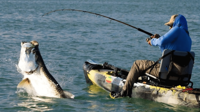 Chiêm bao thấy câu cá đánh con gì may mắn, phát tài phát lộc?