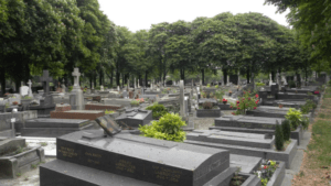 mơ thấy mộ đánh con gì