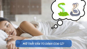mơ thấy rắn to đánh con gì