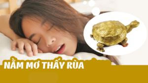 mơ thấy rùa đánh con gì