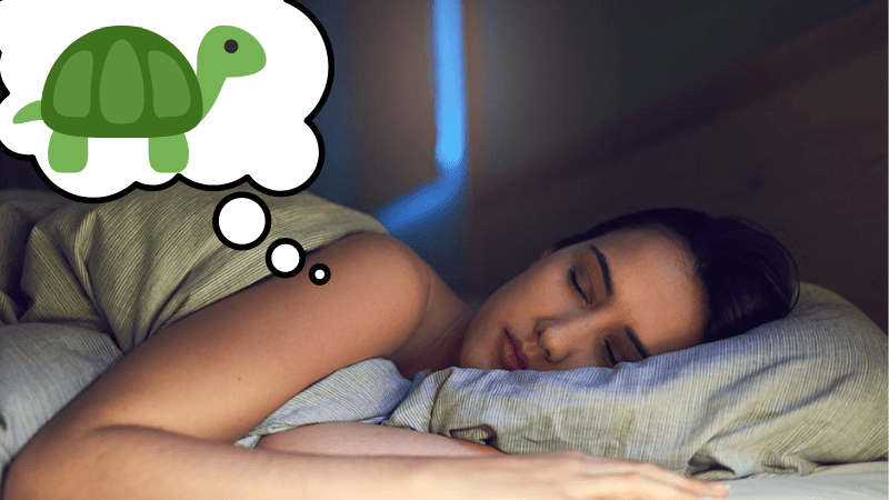 Nằm mơ thấy rùa đánh con nào phát tài phát lộc?