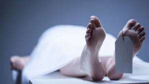 nằm mơ thấy người chết đánh con gì