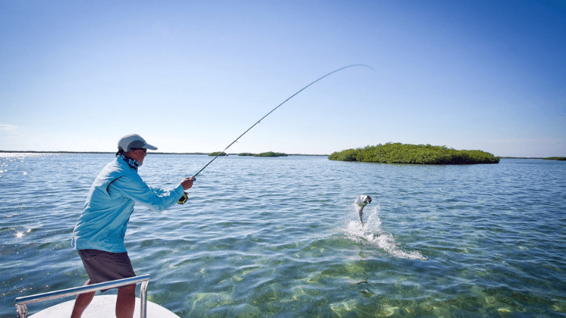 Mơ thấy câu được nhiều cá đánh số mấy, có điềm báo gì?