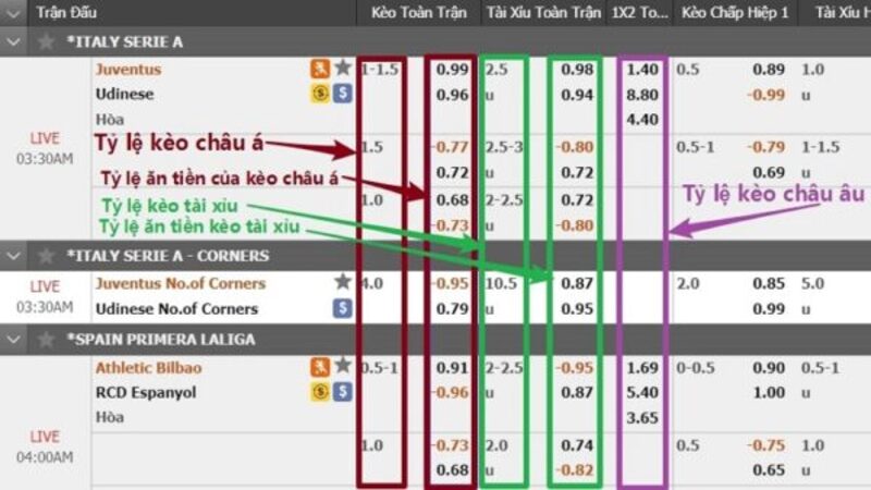 Tìm hiểu ý nghĩa các con số hiển thị trong bảng kèo bóng đá.