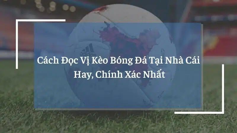 Bật mí những phương pháp đọc vị kèo không thể bỏ lỡ