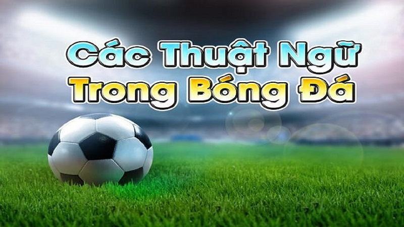 Cá cược cần phải có chiến thuật