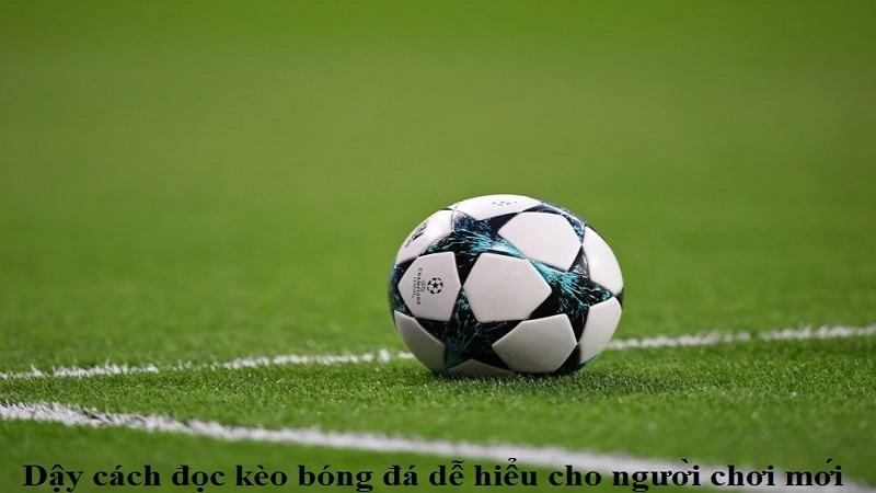 Quy định về kèo cược 1 - 1.5