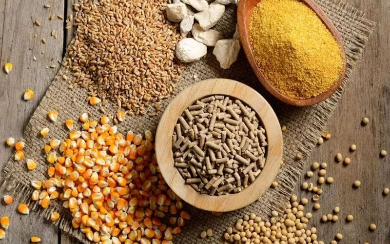 Thay đổi chế độ ăn uống hợp lý